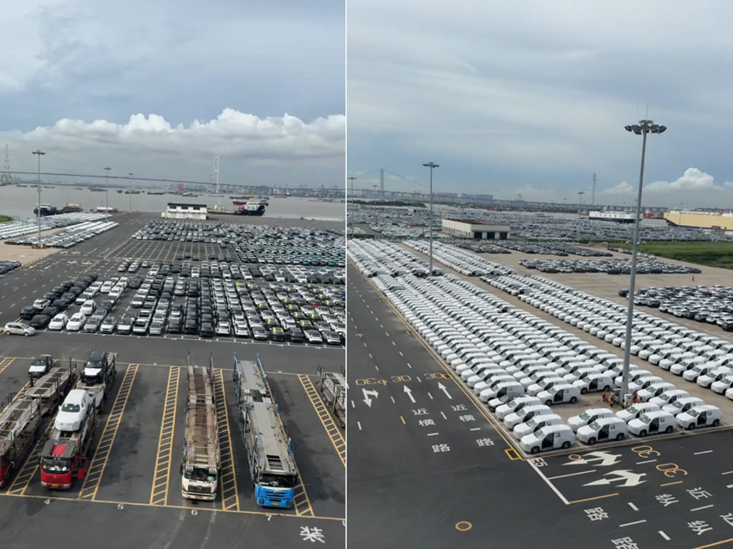 Container vehicle securing and lashing for export