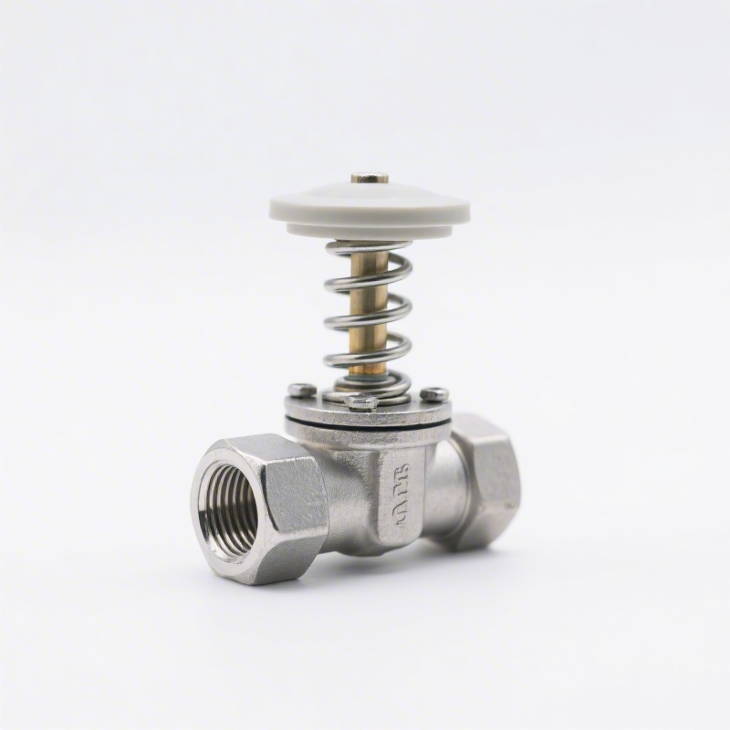 Fuel Pressure Regulator