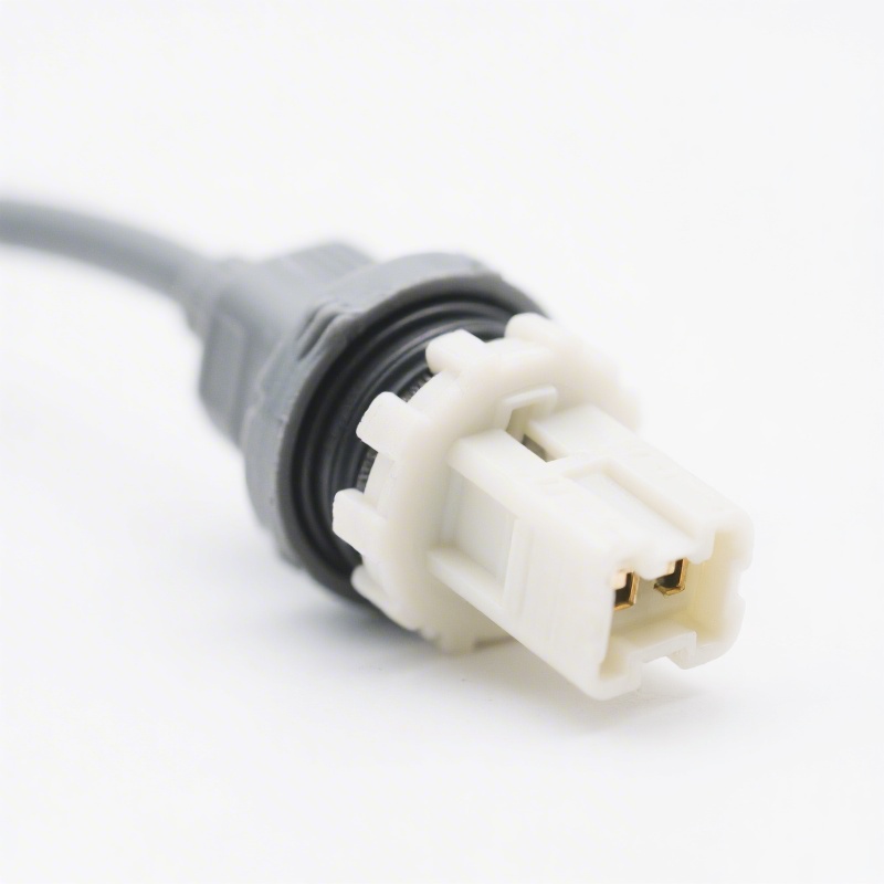 Crankshaft Position Sensor