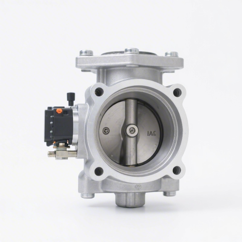 OE 16119-AA010 Throttle Body for Hyundai / Kia — wholesale export from KingMay Auto Parts