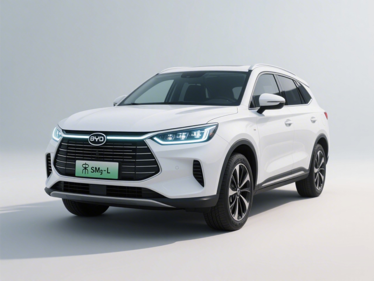 2026 BYD Song L DM-i 130km Premium Edition